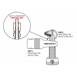 VALVULAS TUBELESS SENDHIT